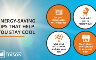 SCE Into Energy Conservation